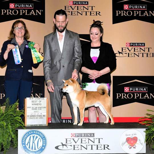 Pro plan breeders club hot sale